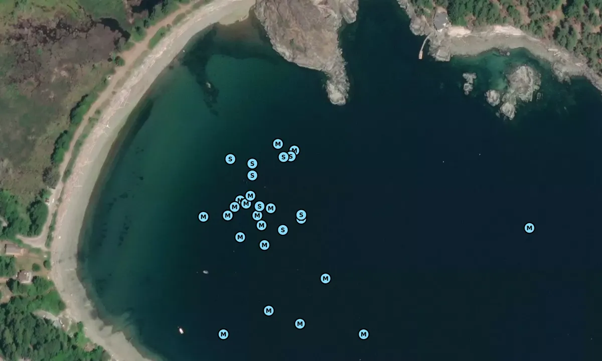 Satelite image of Sargeant Bay