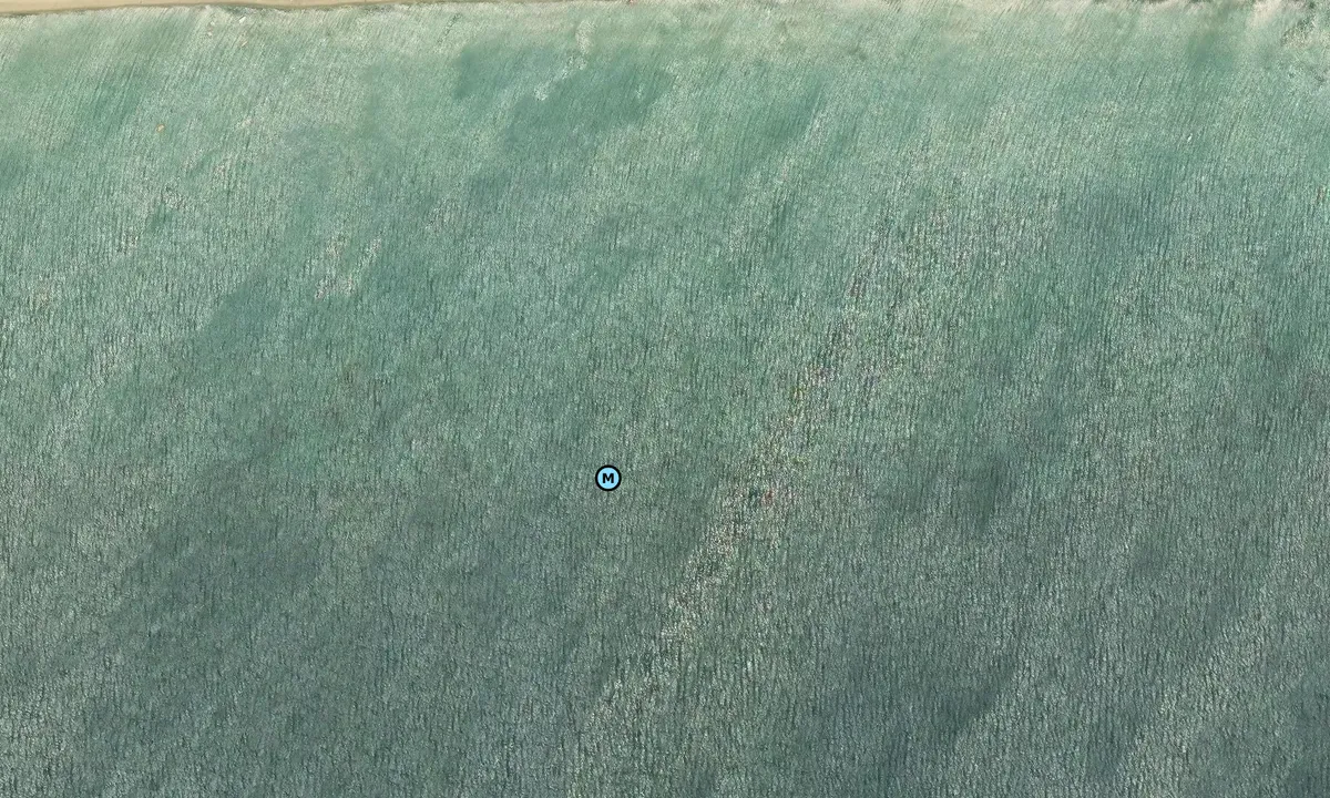 Satelite image of Sarimsakli