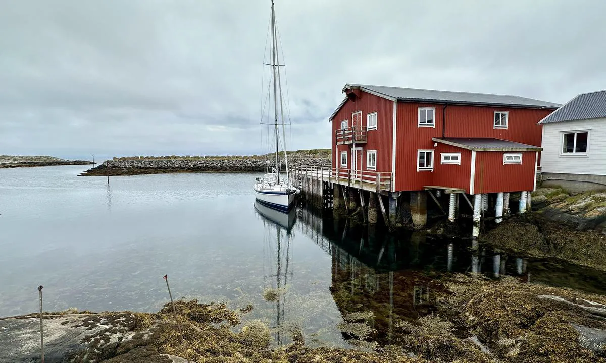 Sauøya: {"base": "no", "no": "Ikke under 3,5m ved kaia.", "se": "Inte under 3,5m vid kajen.", "en": "Not under 3.5m at the quay.", "da": "Ikke under 3,5m ved kajen."}