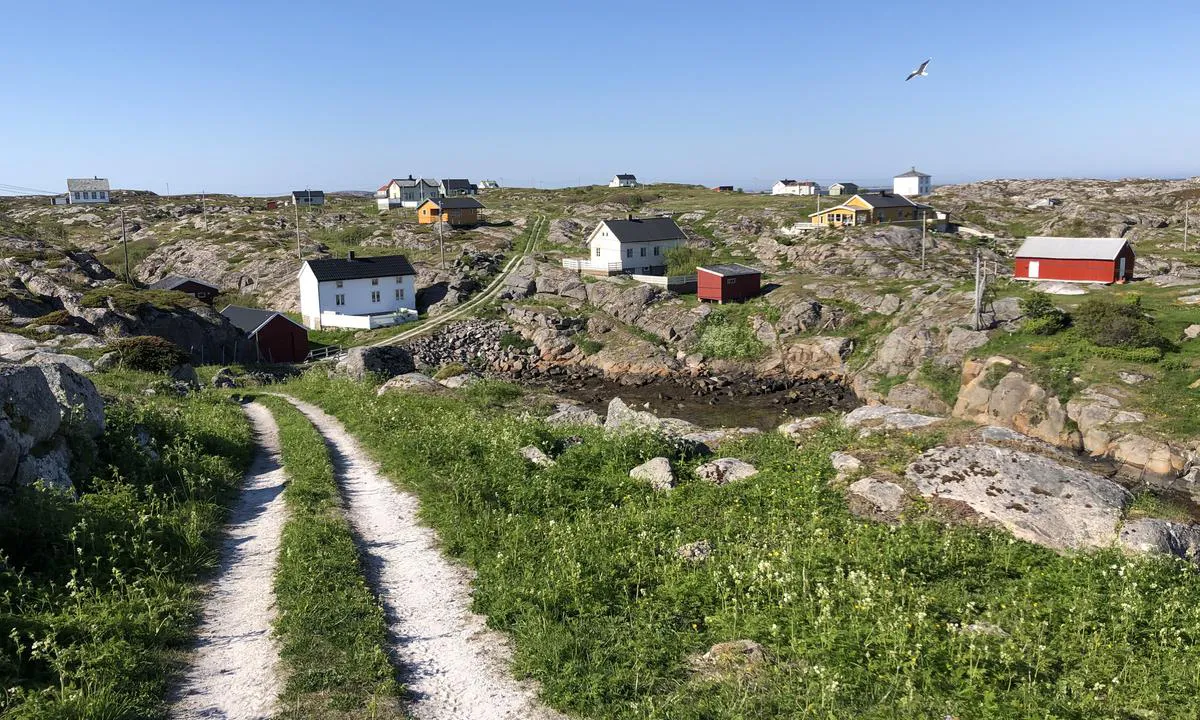 På Sauøya er det stier mellom den spredte bebyggelsen.