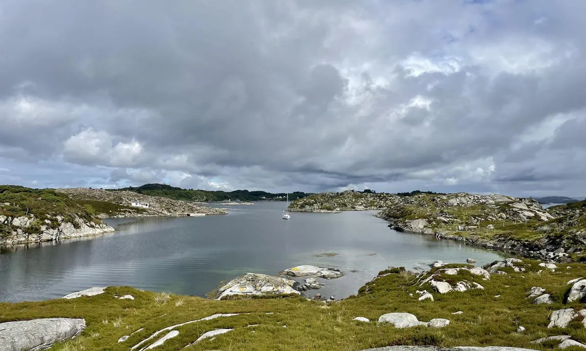Sauøya - Kopervik: {"base": "no", "no": "God plass. Her sett mot nord.", "se": "Gott om plats. H\u00e4r sedd mot norr.", "en": "Good space. Here facing north.", "da": "God plads. Her set mod nord."}