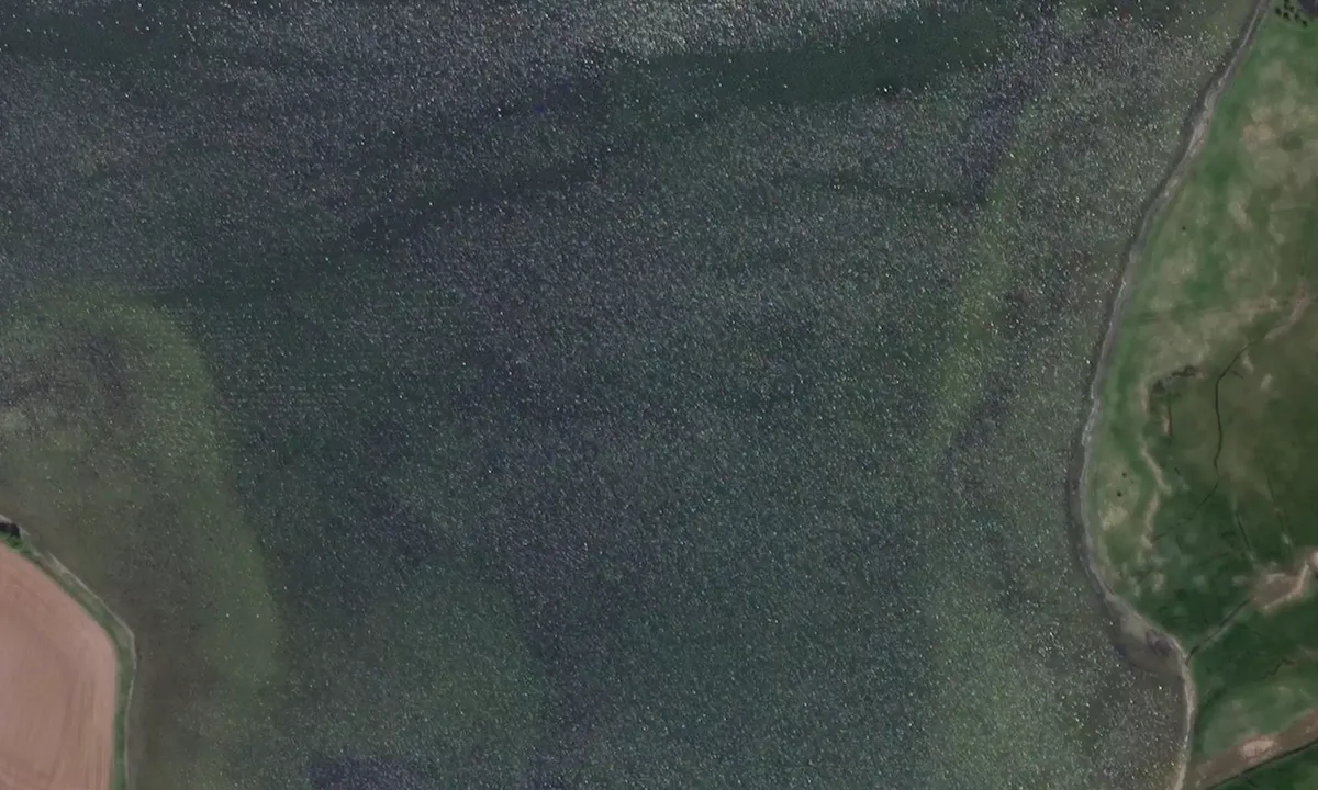 Flyfoto av Schlei