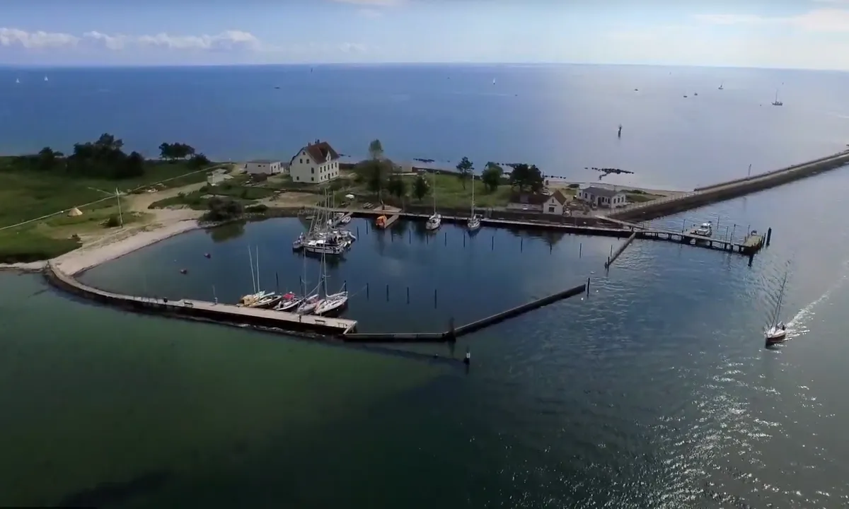 Schleimotsen-Insel