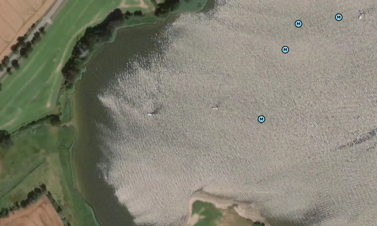 Satelite image of Schleswig