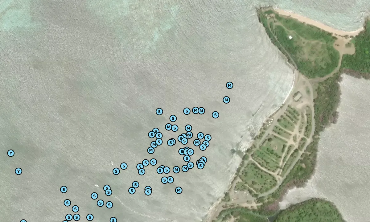 Satelite image of Schooner Bay