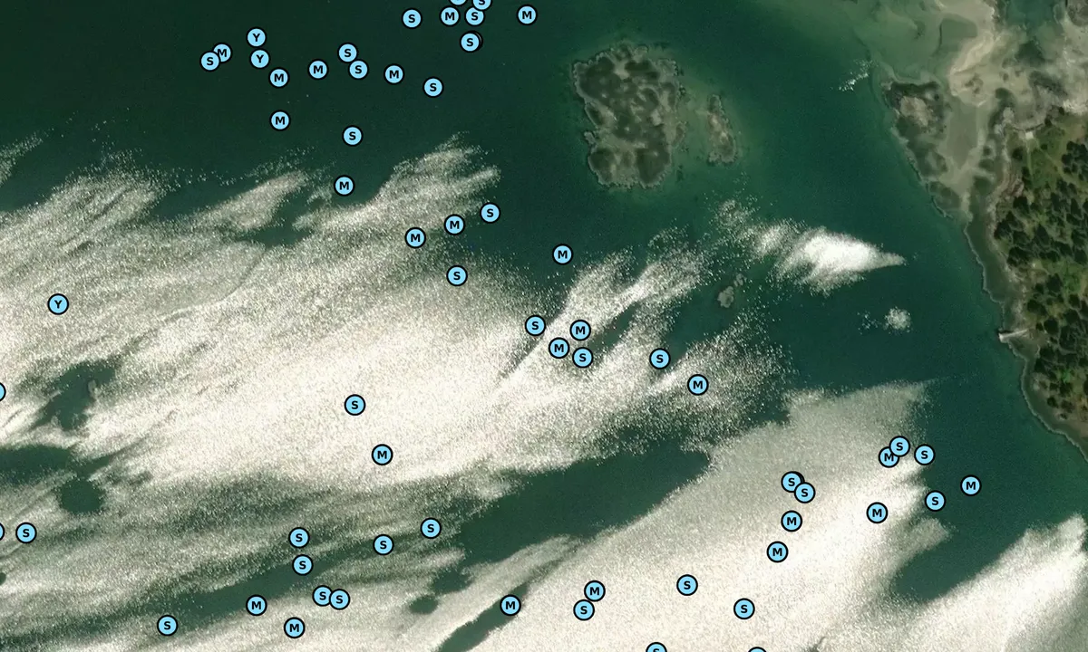 Satelite image of SE Seal Bay
