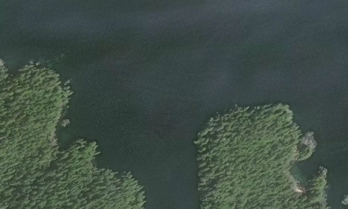 Satelite image of Sea Otter Inlet