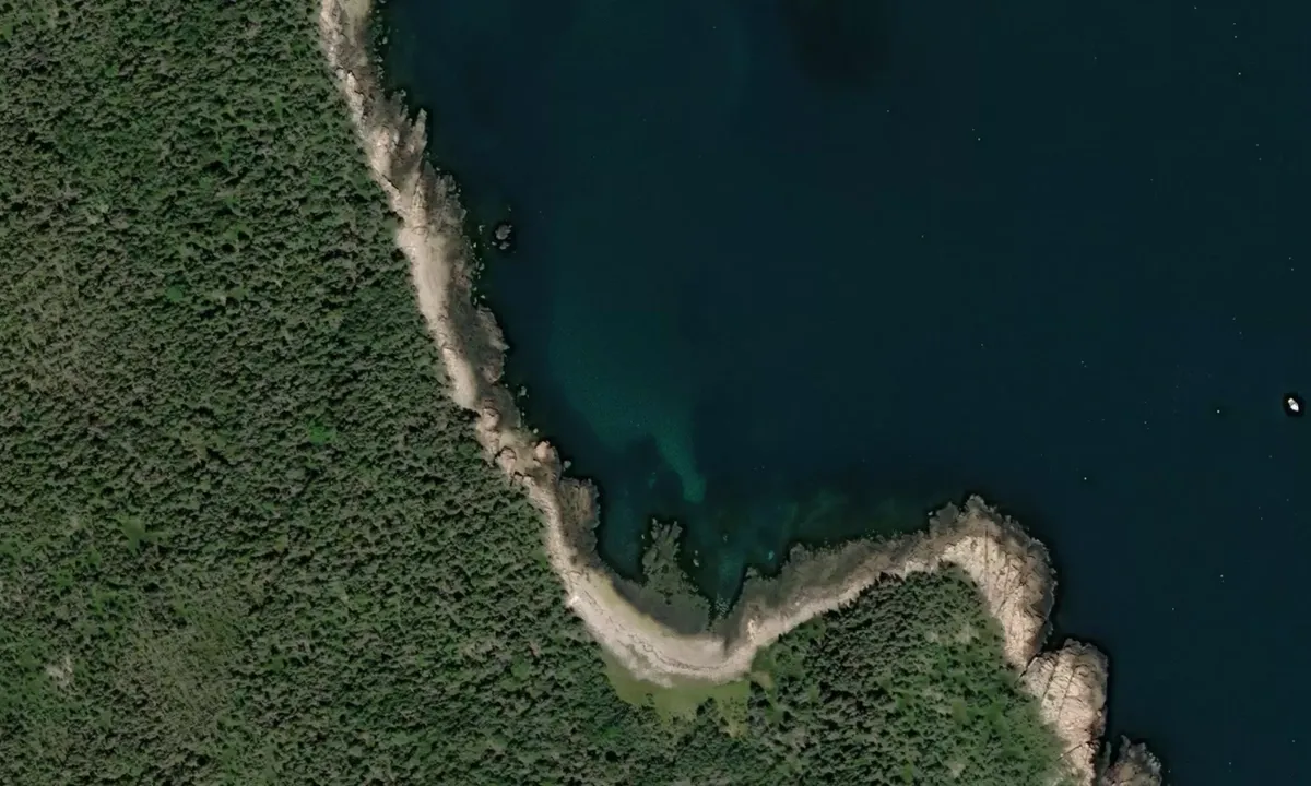 Flyfoto av Seal Cove 3
