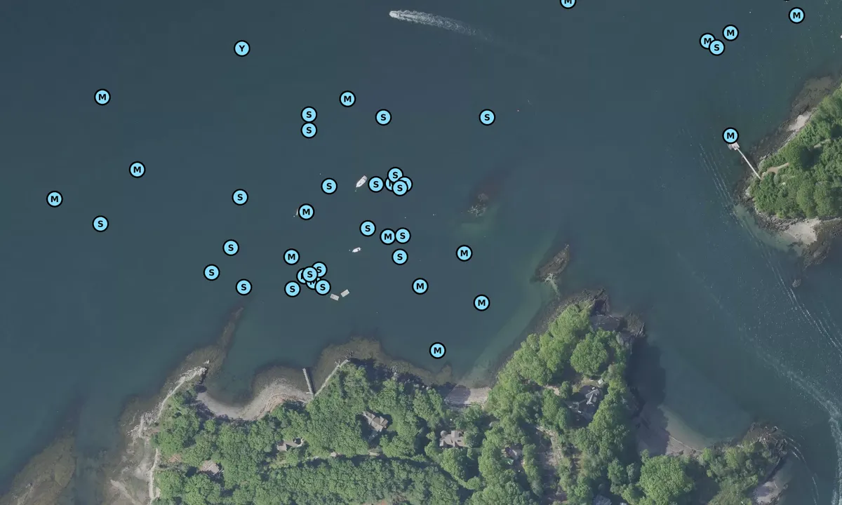 Satelite image of Seal Cove - Portland