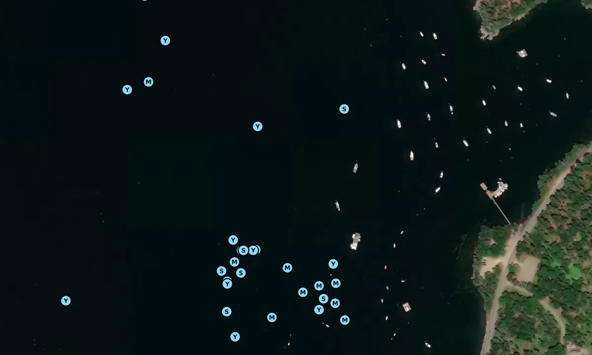 Satelite image of Seal Harbor Public Landing