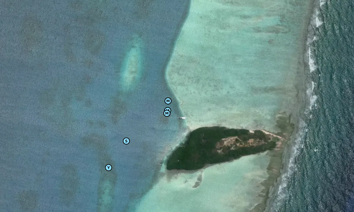 Satelite image of Sebastopol