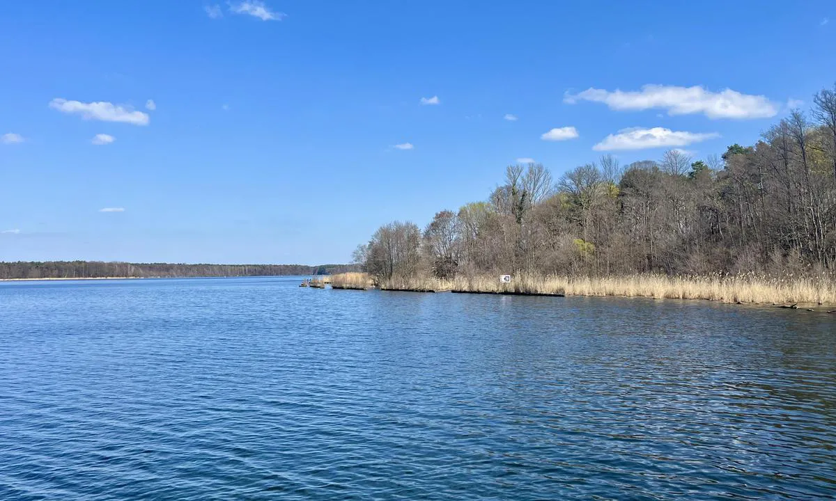 Seddinsee (Km 1, Süd-Ost-Ufer): {"base": "de", "no": "Utsikt mot \u00f8st", "se": "Utsikt mot \u00f6ster", "en": "<p>View towards the east</p>", "da": "Udsigt mod \u00f8st", "fr": "Vue vers l'est", "de": "Blick nach Osten", "es": "Vista hacia el este", "it": "Vista verso est", "pt": "Vista para o leste", "nl": "Uitzicht naar het oosten", "pl": "Widok na wsch\u00f3d", "uk": "\u0412\u0438\u0434 \u043d\u0430 \u0441\u0445\u0456\u0434", "ro": "Privire spre est", "tr": "Do\u011fuya do\u011fru bak\u0131\u015f", "el": "\u0398\u03ad\u03b1 \u03c0\u03c1\u03bf\u03c2 \u03c4\u03b7\u03bd \u0391\u03bd\u03b1\u03c4\u03bf\u03bb\u03ae", "cs": "Pohled na v\u00fdchod", "hu": "Kil\u00e1t\u00e1s keletre", "fi": "Katse it\u00e4\u00e4n", "bg": "\u041f\u043e\u0433\u043b\u0435\u0434 \u043d\u0430 \u0438\u0437\u0442\u043e\u043a", "sr": "Pogled ka istoku", "et": "Vaade itta", "lv": "Skats uz austrumiem", "lt": "\u017dvilgsnis \u012f rytus"}