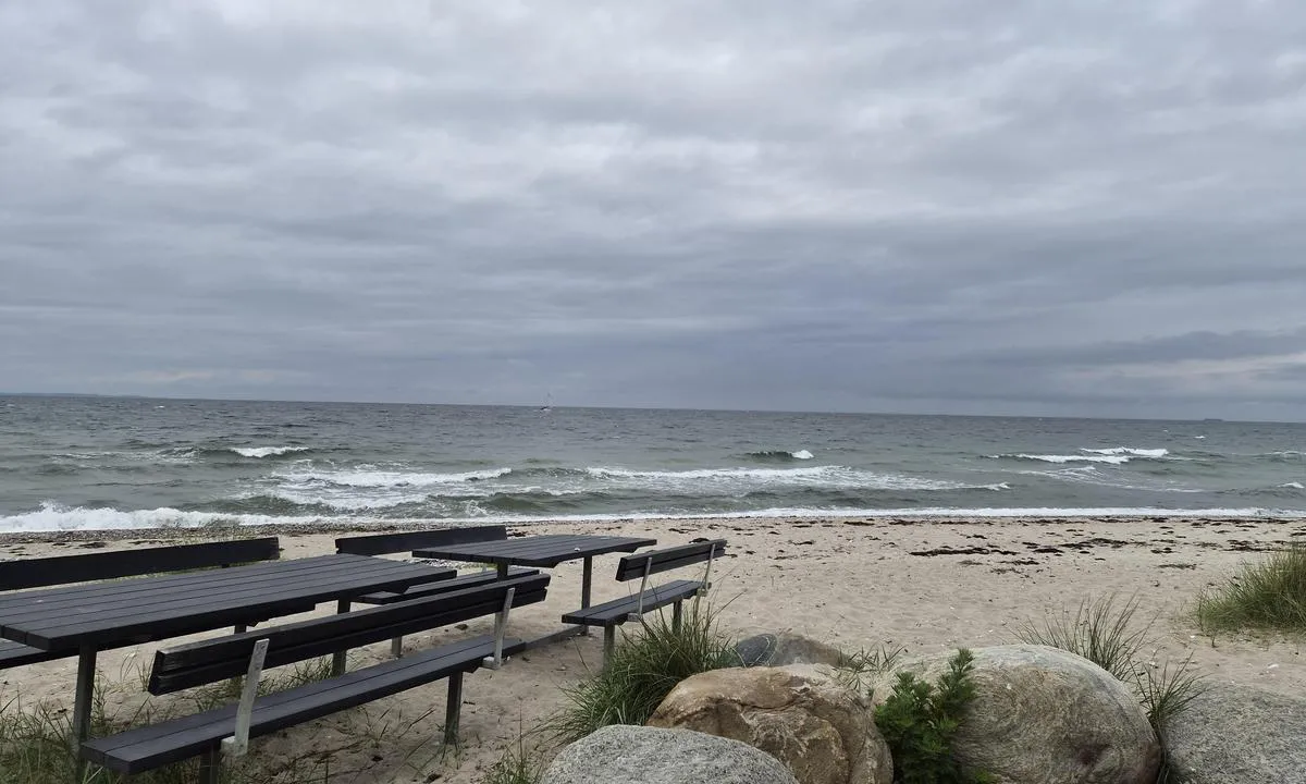 Sejerø Havn: {"base": "no", "no": "Flott strand rett ved siden av havn.", "se": "Fin strand precis bredvid hamnen.", "en": "Beautiful beach right next to the harbor.", "da": "Flot strand lige ved siden af havnen.", "fr": "Belle plage juste \u00e0 c\u00f4t\u00e9 du port.", "de": "Sch\u00f6ner Strand direkt neben dem Hafen.", "es": "Playa magn\u00edfica justo al lado del puerto.", "it": "Spiaggia fantastica proprio accanto al porto.", "pt": "Praia fant\u00e1stica bem ao lado do porto.", "nl": "Mooi strand direct naast de haven.", "pl": "Pi\u0119kna pla\u017ca tu\u017c obok portu.", "uk": "\u041f\u0440\u0435\u043a\u0440\u0430\u0441\u043d\u0438\u0439 \u043f\u043b\u044f\u0436 \u043f\u0440\u044f\u043c\u043e \u043f\u043e\u0440\u0443\u0447 \u0437 \u0433\u0430\u0432\u0430\u043d\u043d\u044e.", "ro": "Plaj\u0103 frumoas\u0103 chiar l\u00e2ng\u0103 port.", "tr": "Liman\u0131n hemen yan\u0131nda g\u00fczel bir plaj.", "el": "\u03a5\u03c0\u03ad\u03c1\u03bf\u03c7\u03b7 \u03c0\u03b1\u03c1\u03b1\u03bb\u03af\u03b1 \u03b1\u03ba\u03c1\u03b9\u03b2\u03ce\u03c2 \u03b4\u03af\u03c0\u03bb\u03b1 \u03b1\u03c0\u03cc \u03c4\u03bf \u03bb\u03b9\u03bc\u03ac\u03bd\u03b9.", "cs": "Kr\u00e1sn\u00e1 pl\u00e1\u017e hned vedle p\u0159\u00edstavu.", "hu": "Sz\u00e9p strand k\u00f6zvetlen\u00fcl a kik\u00f6t\u0151 mellett.", "fi": "Hieno ranta aivan sataman vieress\u00e4.", "bg": "\u0427\u0443\u0434\u0435\u0441\u0435\u043d \u043f\u043b\u0430\u0436 \u0442\u043e\u0447\u043d\u043e \u0434\u043e \u043f\u0440\u0438\u0441\u0442\u0430\u043d\u0438\u0449\u0435\u0442\u043e.", "sr": "Prelepa pla\u017ea odmah pored luke.", "et": "Kena rand otse sadama k\u00f5rval.", "lv": "Lieliska pludmale tie\u0161i blakus ostai.", "lt": "Puikus papl\u016bdimys visai \u0161alia uosto."}