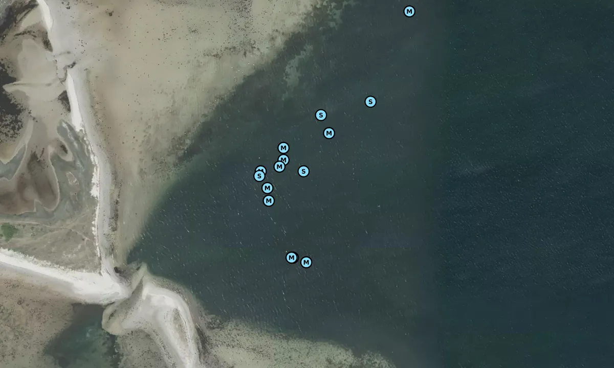Satelite image of Sejlklubben Bugten Århus bouy