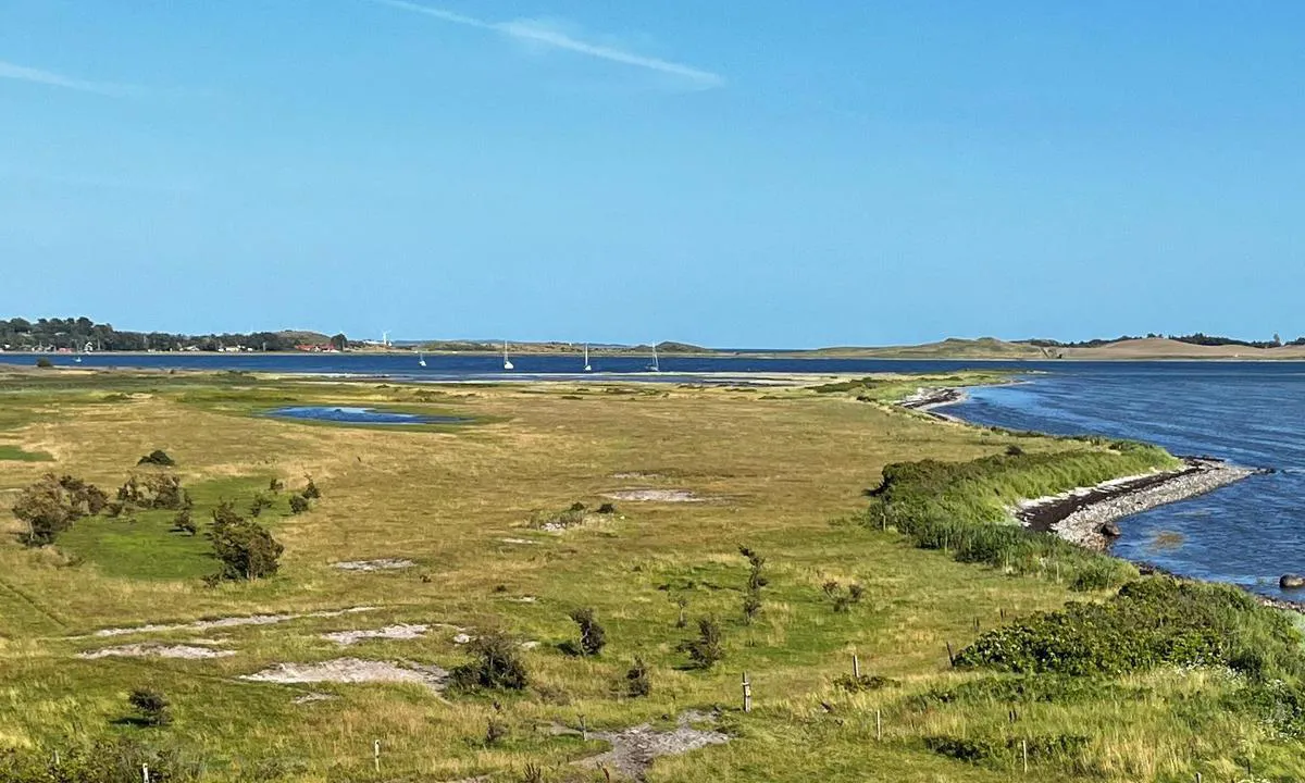 Sejlklubben Bugten Århus bouy: {"base": "en", "no": "Noen fort\u00f8yninger og god ankringsplass n\u00e6r en liten strand som kan brukes til \u00e5 lande jolle.", "se": "N\u00e5gra f\u00f6rt\u00f6jningar och bra ankarplatser n\u00e4ra en liten strand anv\u00e4ndbar f\u00f6r jollelandning.", "en": "Some moorings and good anchorage close to a small beach usable for dingy landing.", "da": "Nogle fort\u00f8jningspladser og god ankerplads t\u00e6t p\u00e5 en lille strand, der kan bruges til lands\u00e6tning af jolle."}
