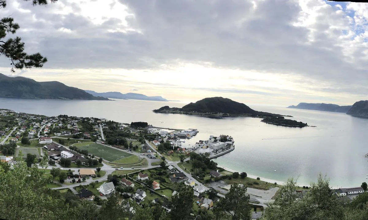 Seljevågen Gjestehamn: {"base": "no", "no": "Utsikt mot havna og sentrum fra en veldig fin tursti opp fra den flotte sandstranda .", "se": "Utsikt mot hamnen och centrum fr\u00e5n en v\u00e4ldigt fin vandringsled upp fr\u00e5n den vackra sandstranden.", "en": "View of the harbor and town center from a very nice hiking trail up from the beautiful sandy beach.", "da": "Udsigt mod havnen og centrum fra en meget fin vandrerute op fra den flotte sandstrand."}