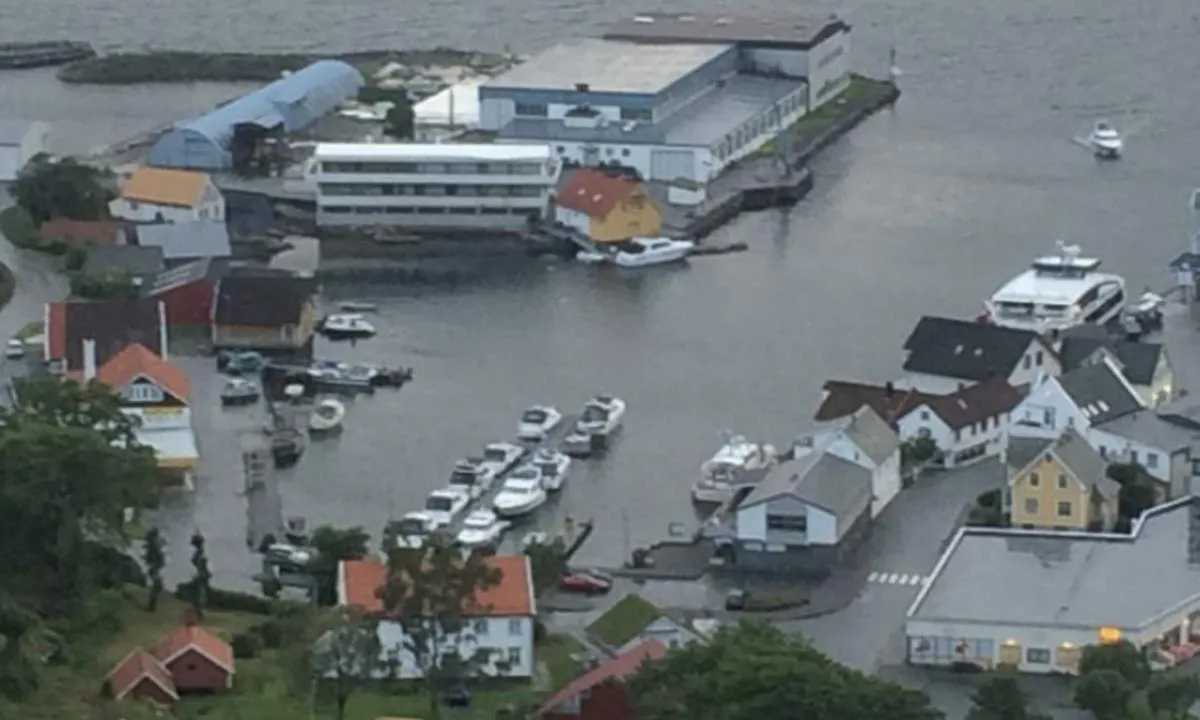 Seljevågen Gjestehamn