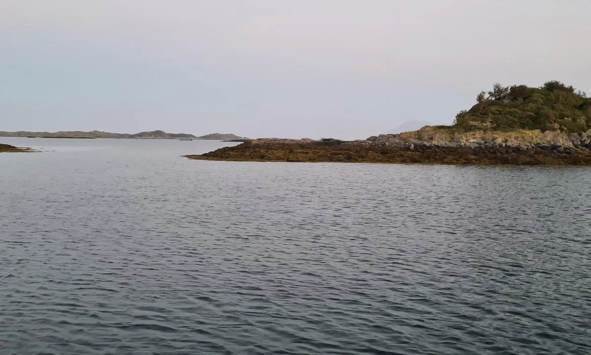 Selsøya: Mot øst