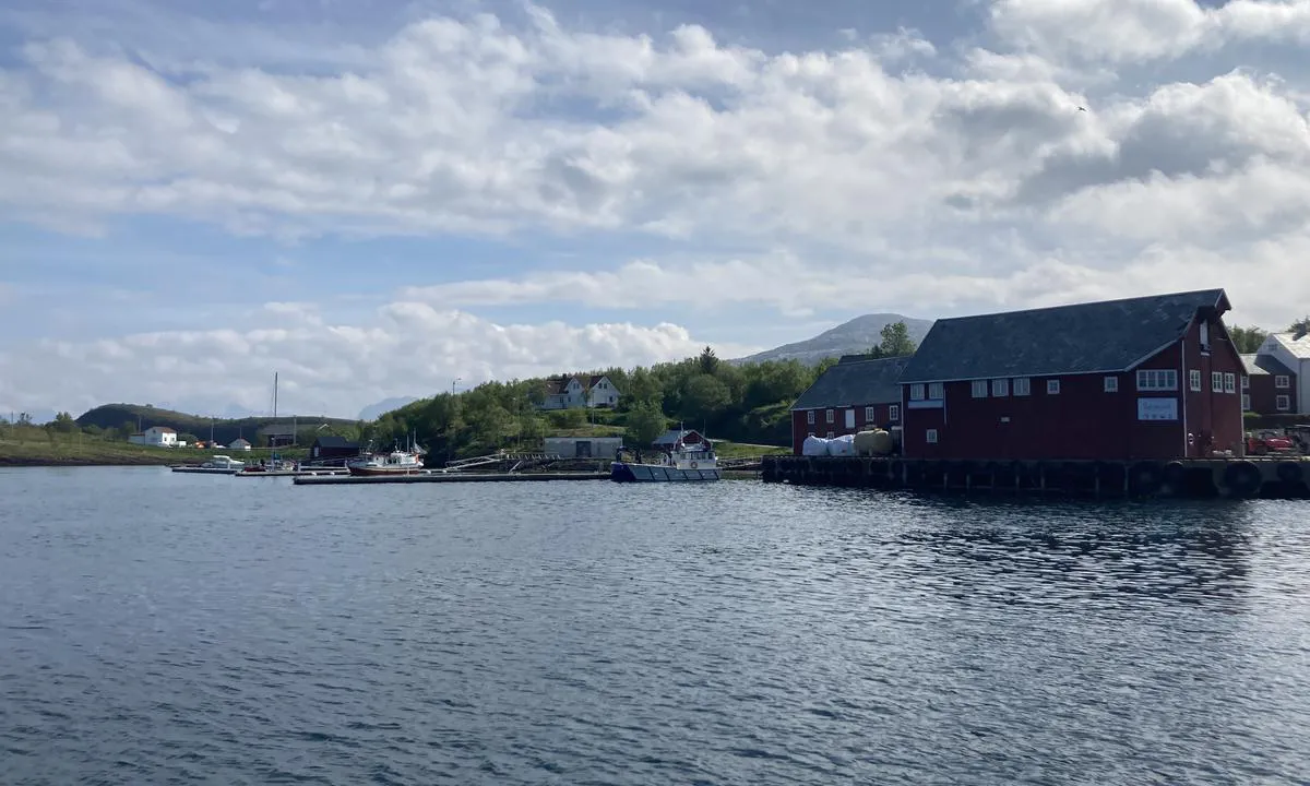 Selsøyvik Handelsted: Solid betongbrygge lengst ute for større båtar, samt flytebrygge på innside.