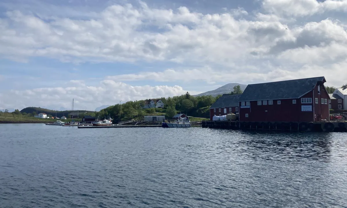 Selsøyvik Handelsted: {"base": "no", "no": "Solid betongbrygge lengst ute for st\u00f8rre b\u00e5tar, samt flytebrygge p\u00e5 innside.", "se": "Solid betongbrygga l\u00e4ngst ut f\u00f6r st\u00f6rre b\u00e5tar, samt flytbrygga p\u00e5 insidan.", "en": "Solid concrete pier farthest out for larger boats, as well as floating dock on the inside.", "da": "Solid betonkaj yderst til st\u00f8rre b\u00e5de, samt flydebro p\u00e5 indersiden."}