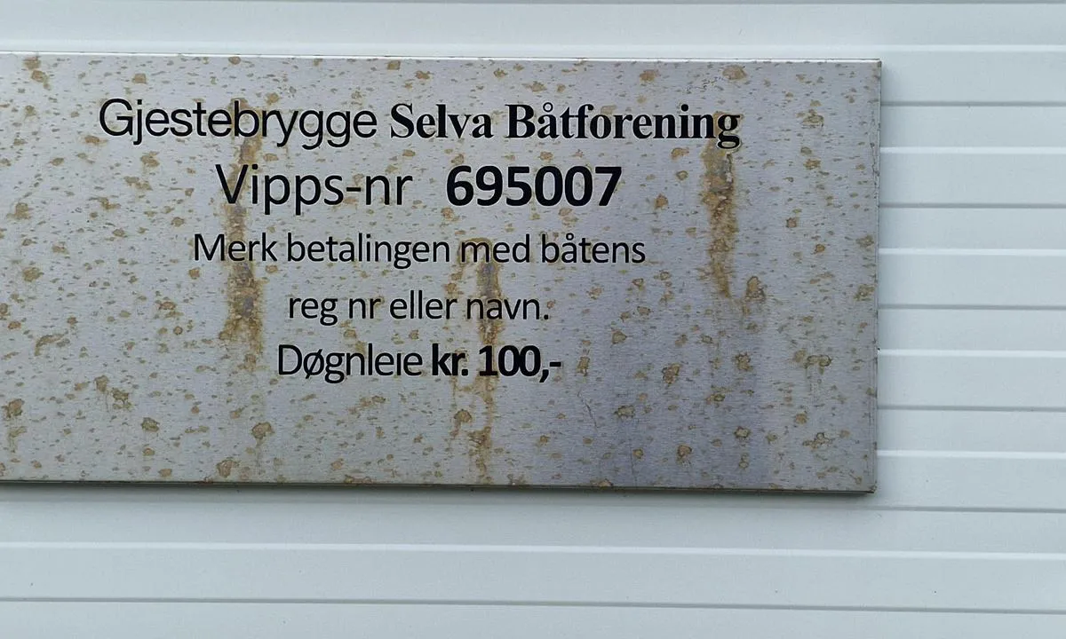 Selva