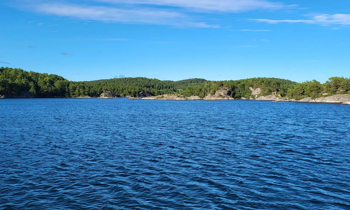 Selvågen - Mandal: Bilde retning innseiling.