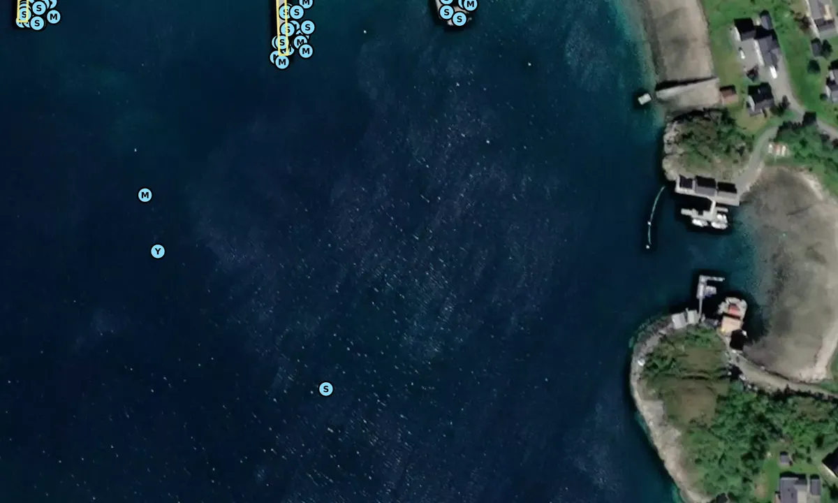 Satelite image of Selvågen - Rødøy