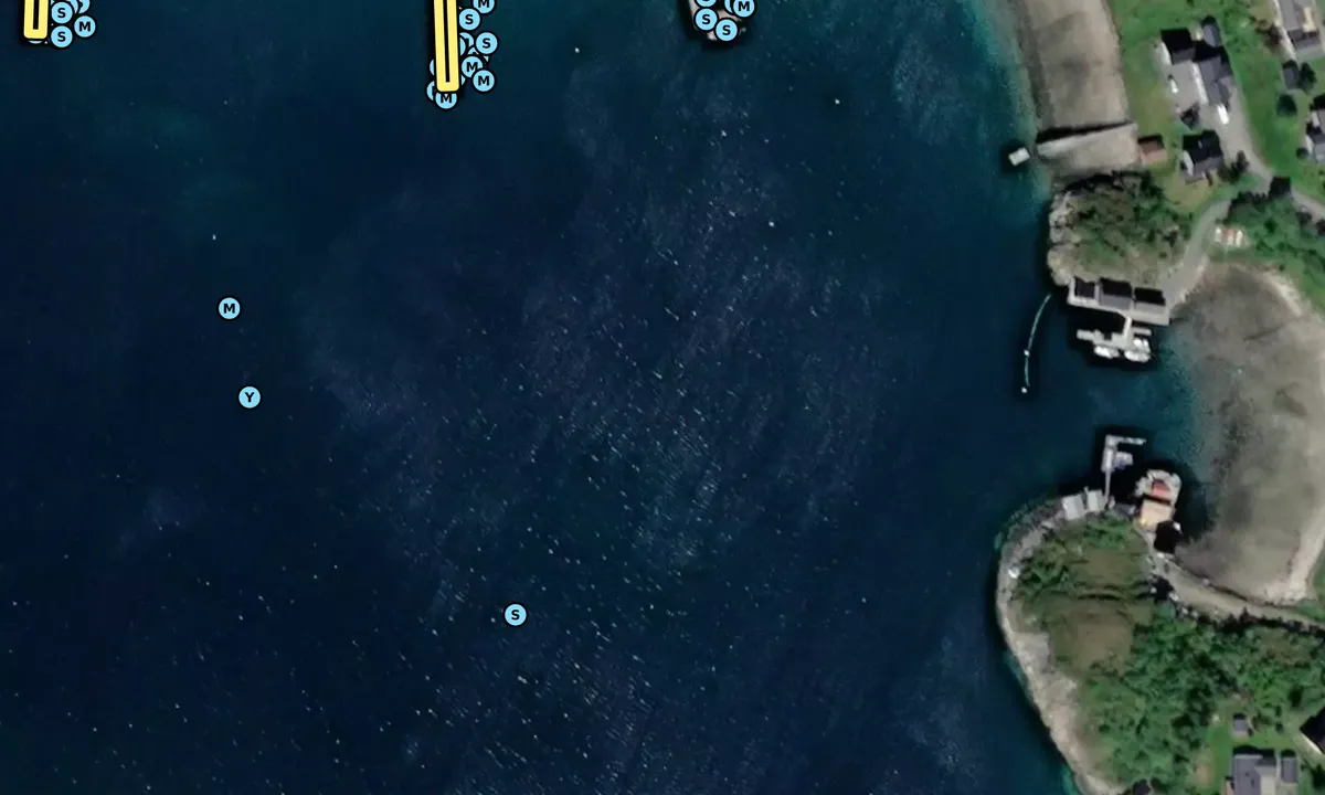 Satelite image of Selvågen - Rødøy