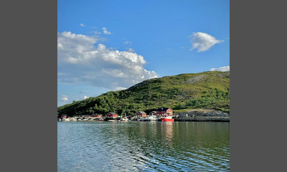 Selvågen - Rødøy