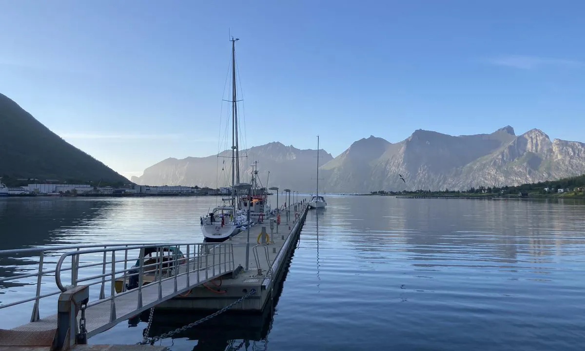 Senjahopen: {"base": "no", "no": "Stor og solid gjestebrygge.", "se": "Stor och solid g\u00e4stbrygga.", "en": "Large and sturdy guest dock.", "da": "Stor og solid g\u00e6stebro."}