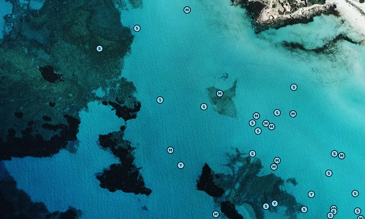 Satelite image of Ses Covetes