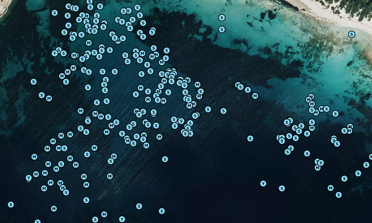 Satelite image of Ses Salinas