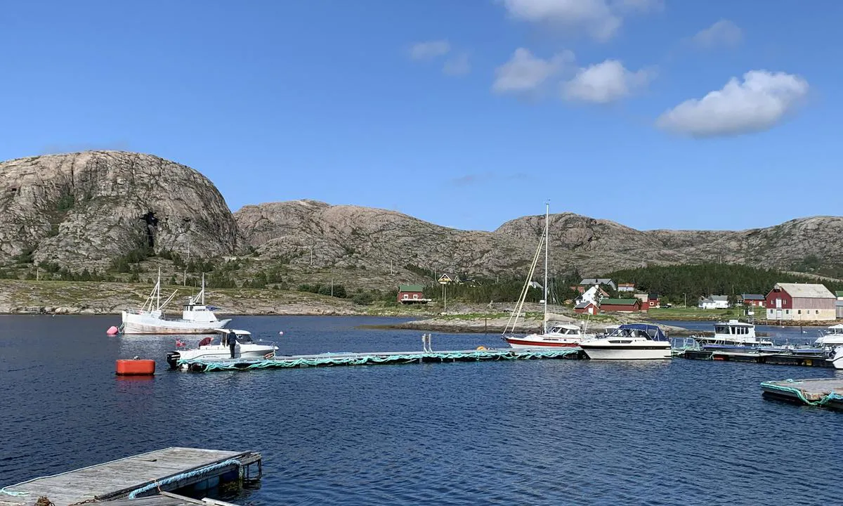 Seter Brygge, Setervågen