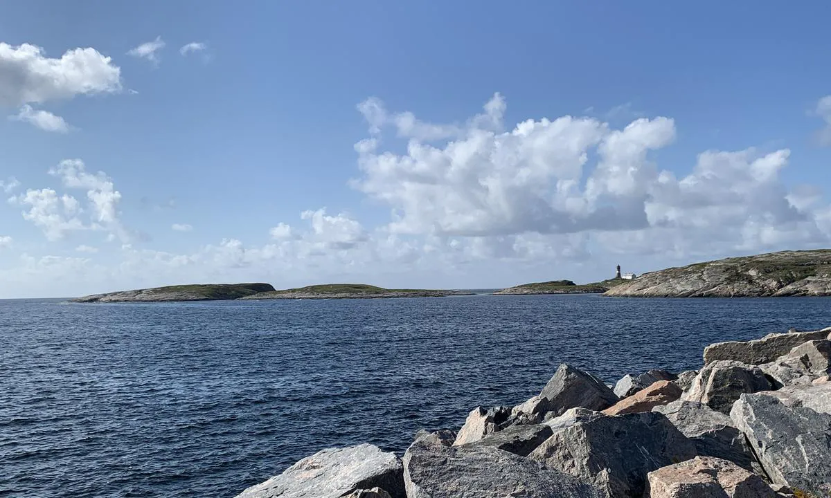 Seter Brygge, Setervågen