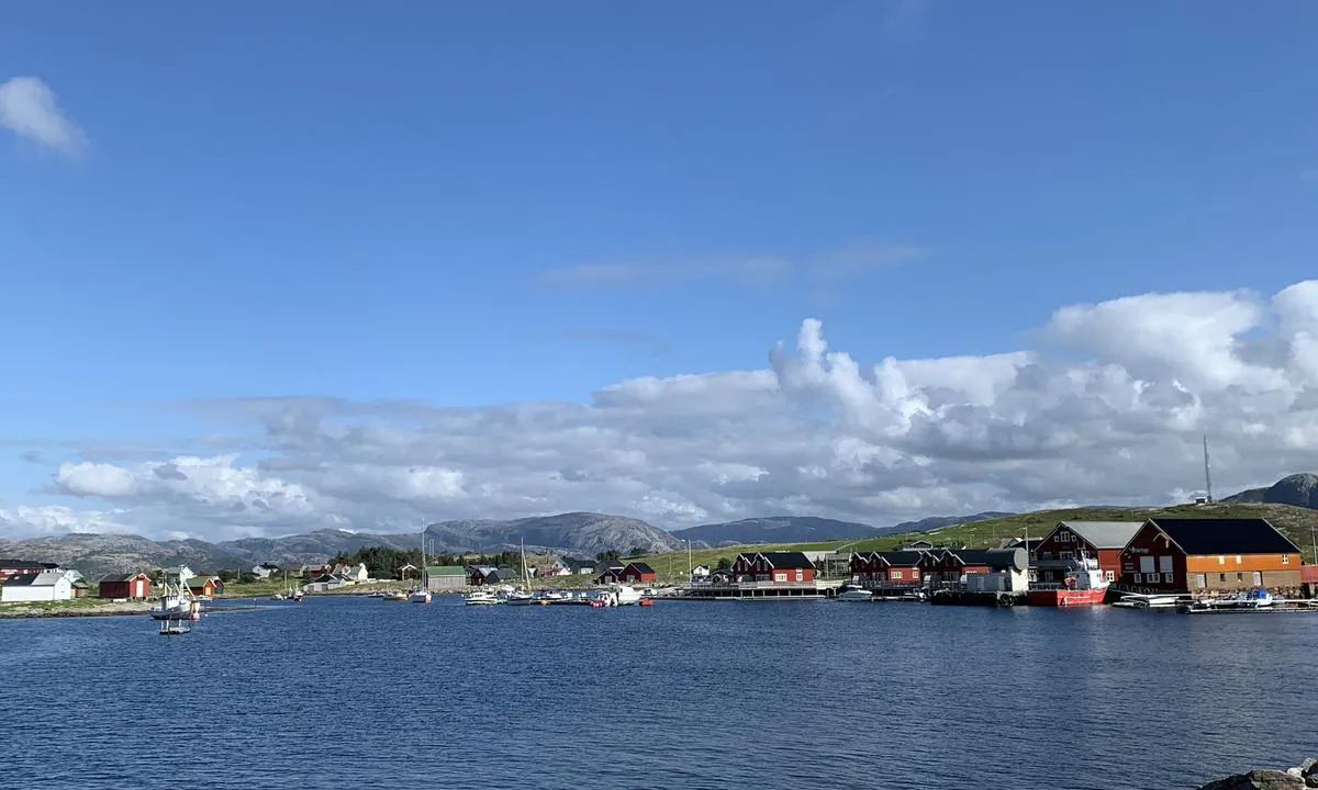 Seter Brygge, Setervågen