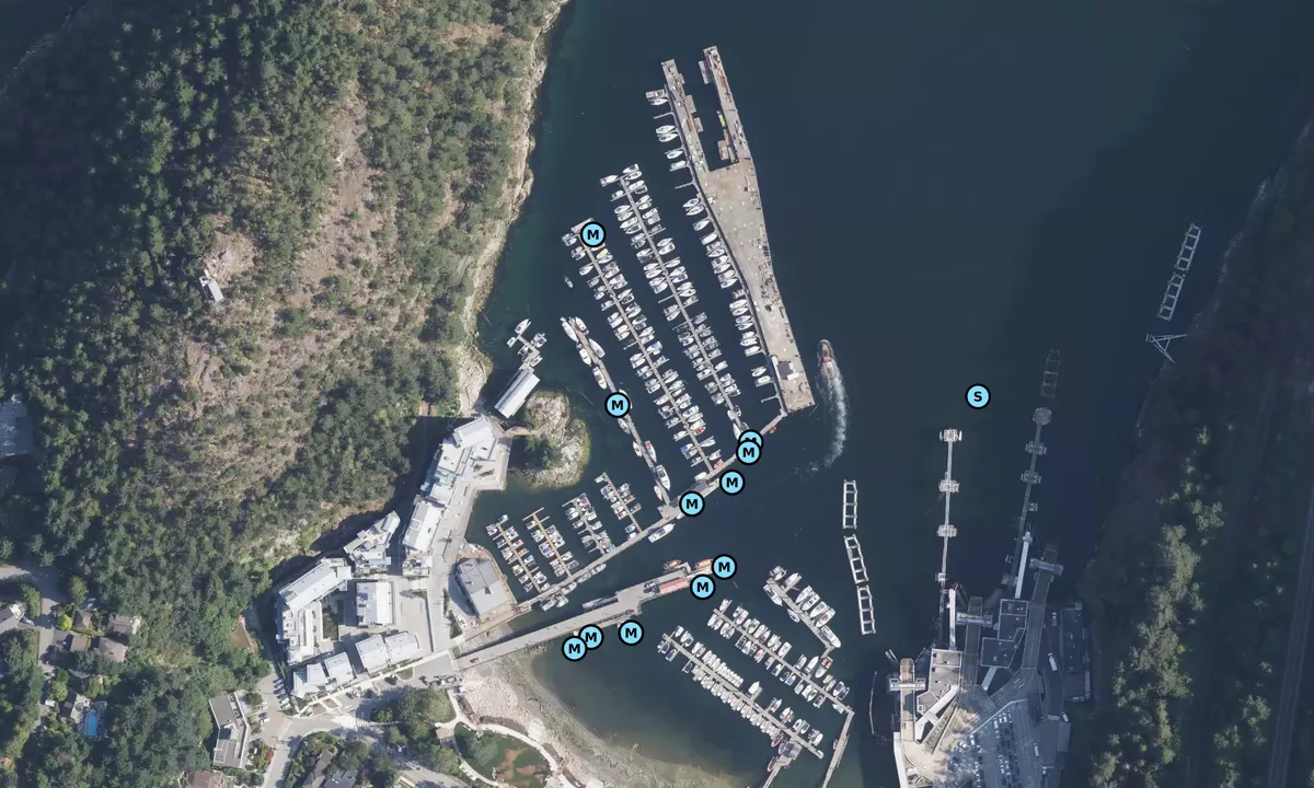 Satelite image of Sewell's Marina - West Vancouver