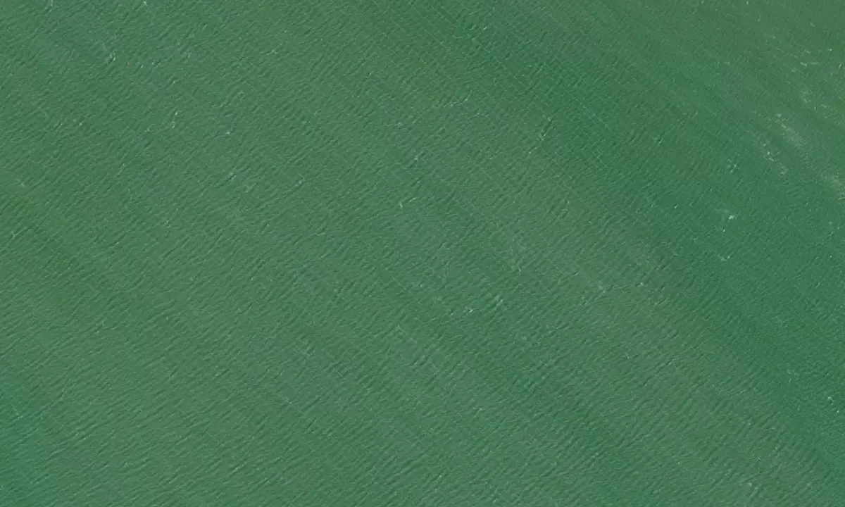 Satelite image of Shark Tooth Island