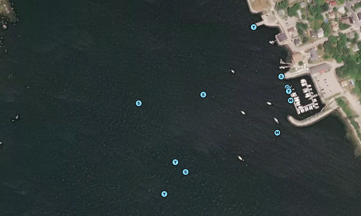 Satelite image of Shelburne Harbour Yacht Club - Nova Scotia