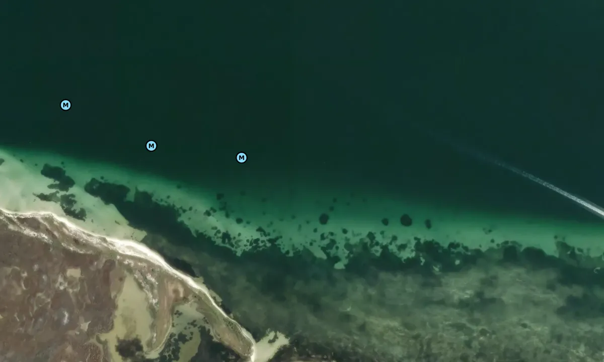 Satelite image of Shell Island - 2