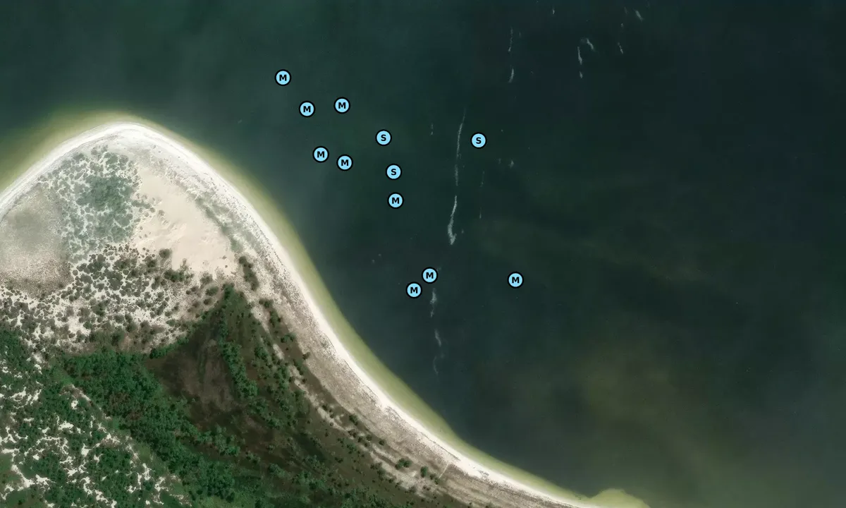 Satelite image of Shell Island - 3