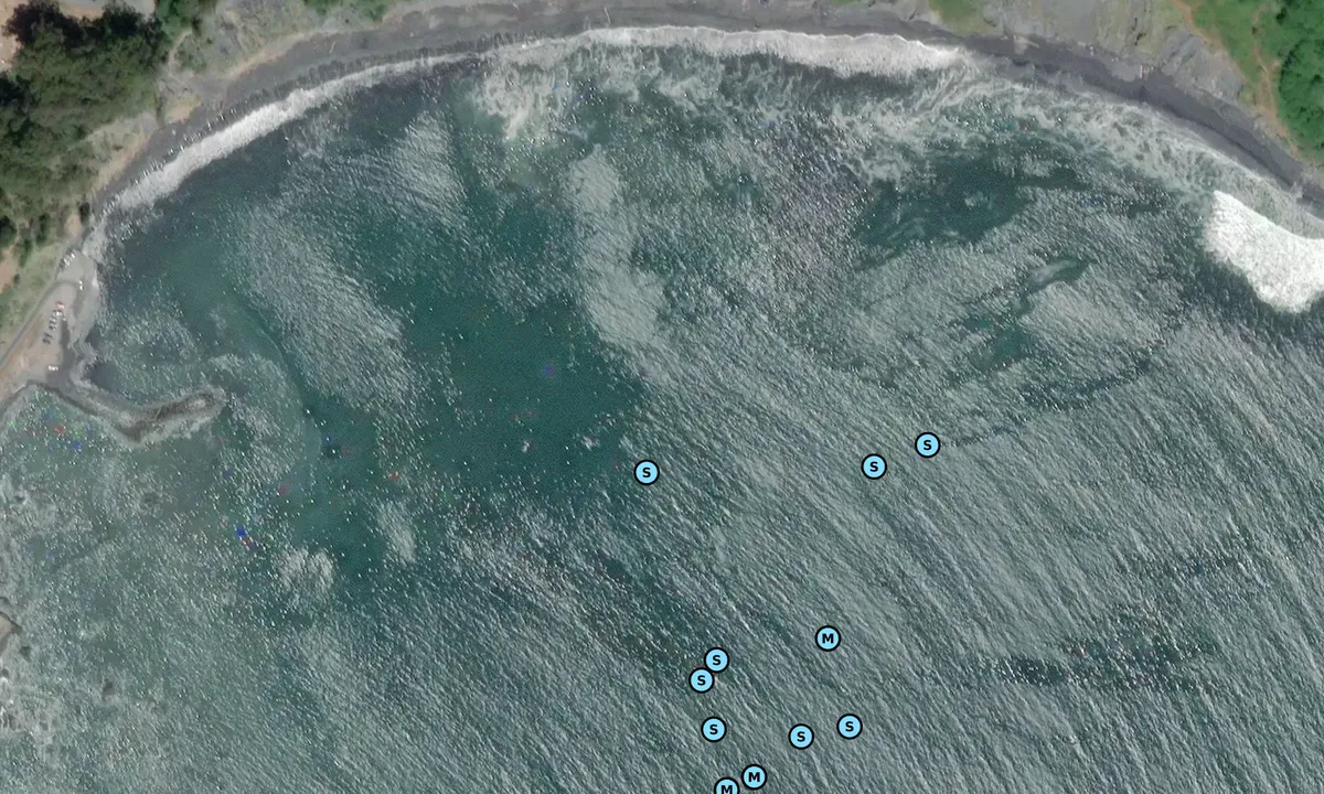 Satelite image of Shelter Cove