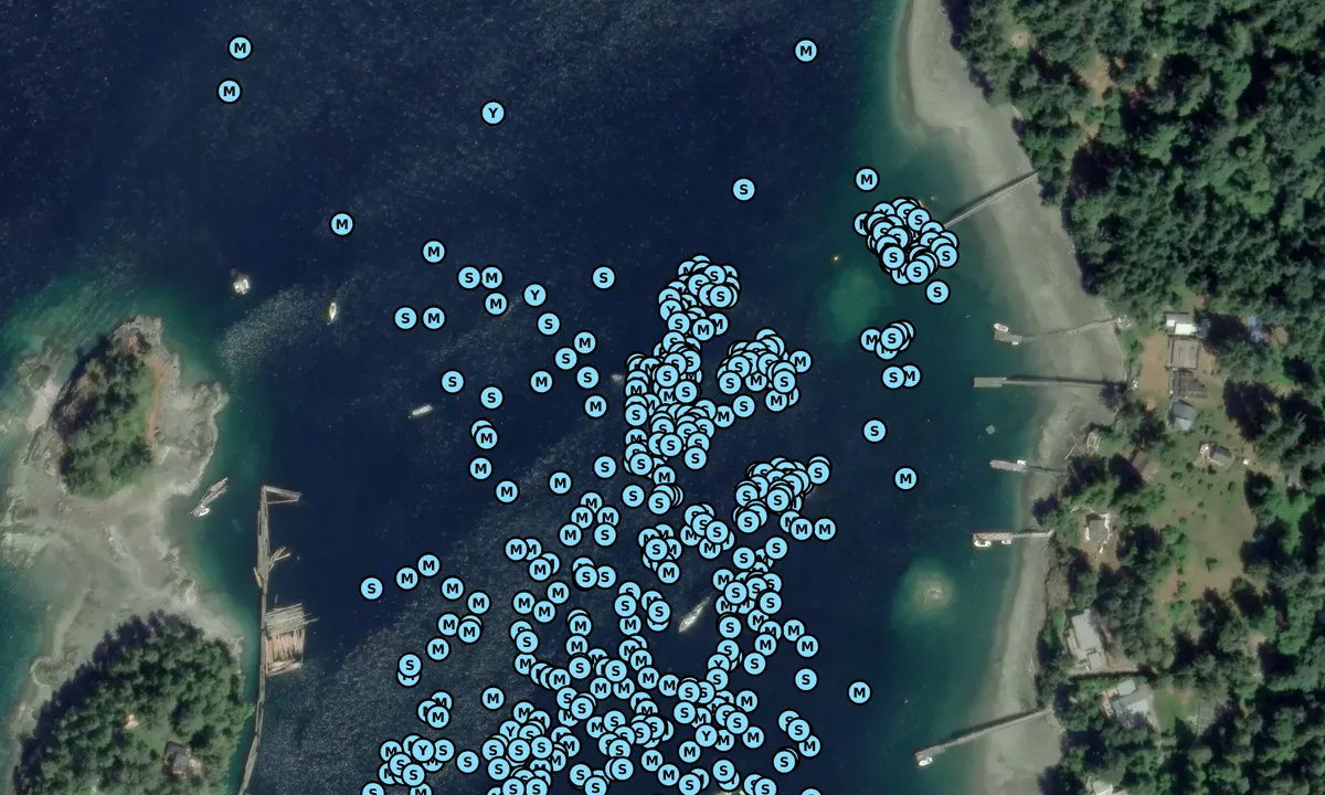Satelite image of Shelter Islets