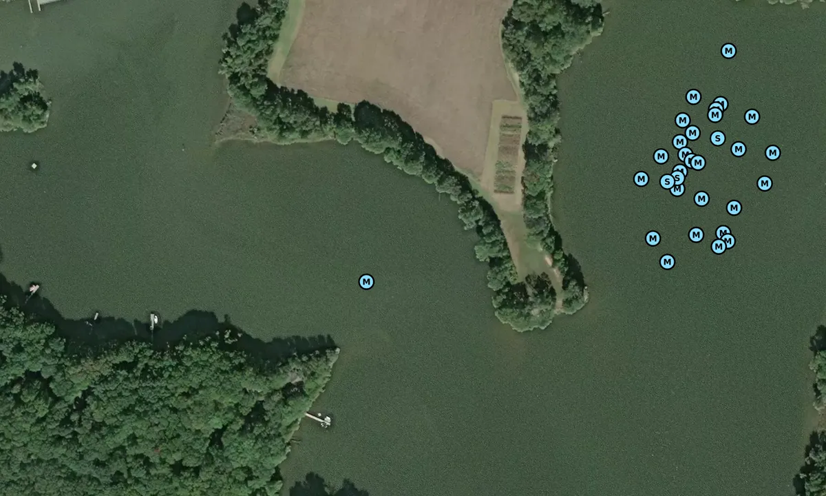 Satelite image of Shipyard Creek