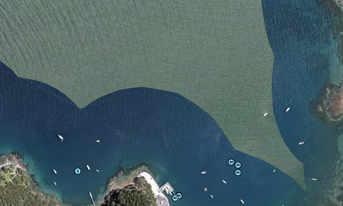 Satelite image of Shoal Bay - Auckland
