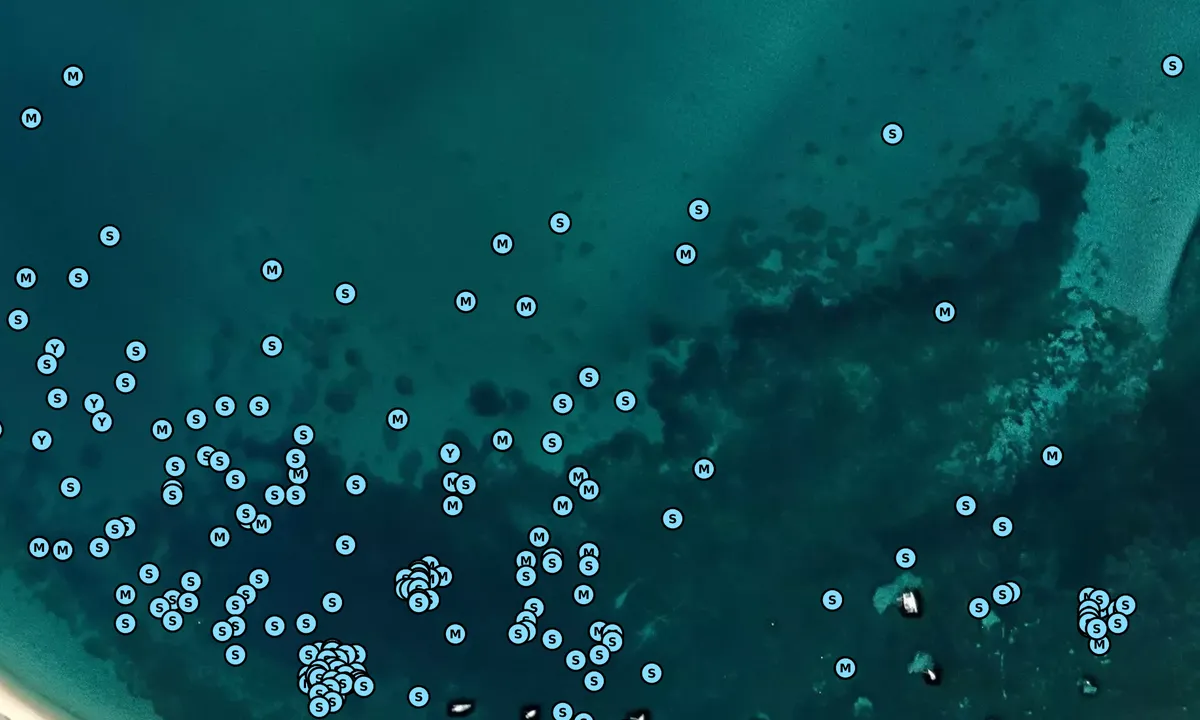 Satelite image of Shoal Bay (moorings)