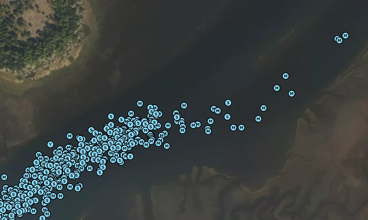 Satelite image of Shoaling