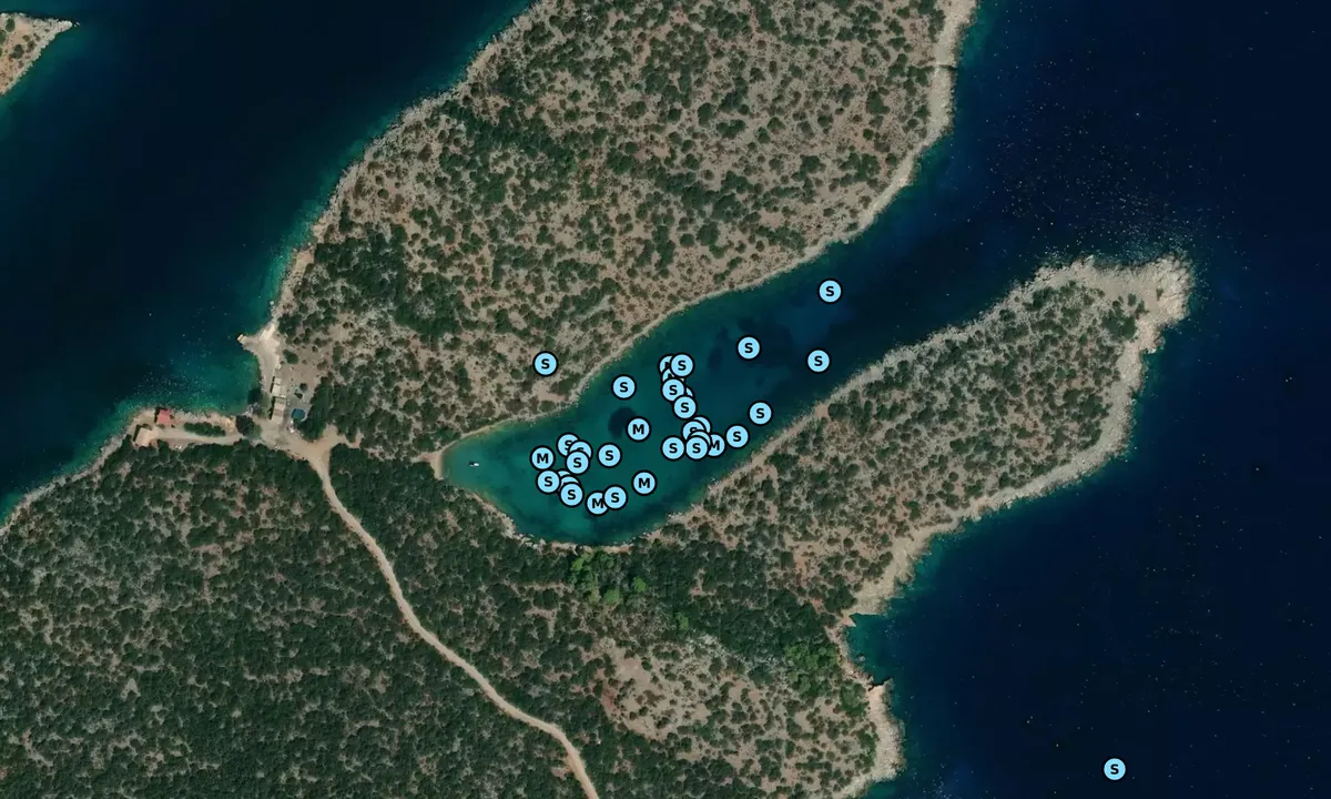 Satelite image of Shoebill Bay