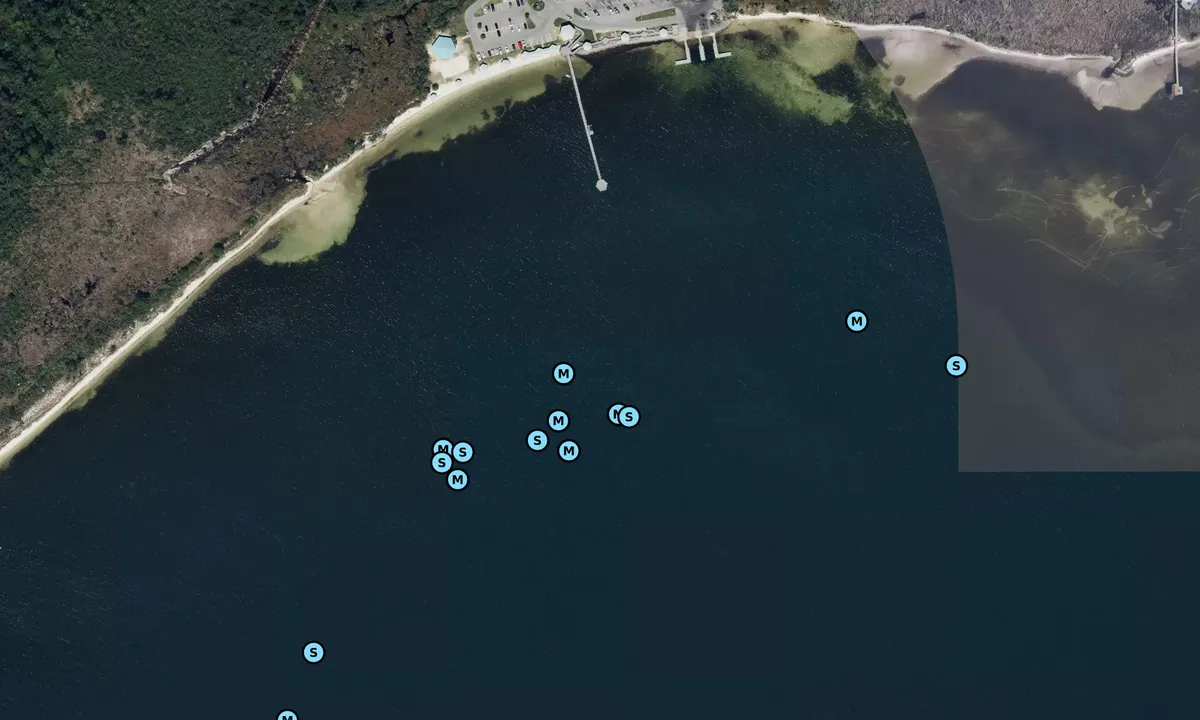 Satelite image of Shoreline
