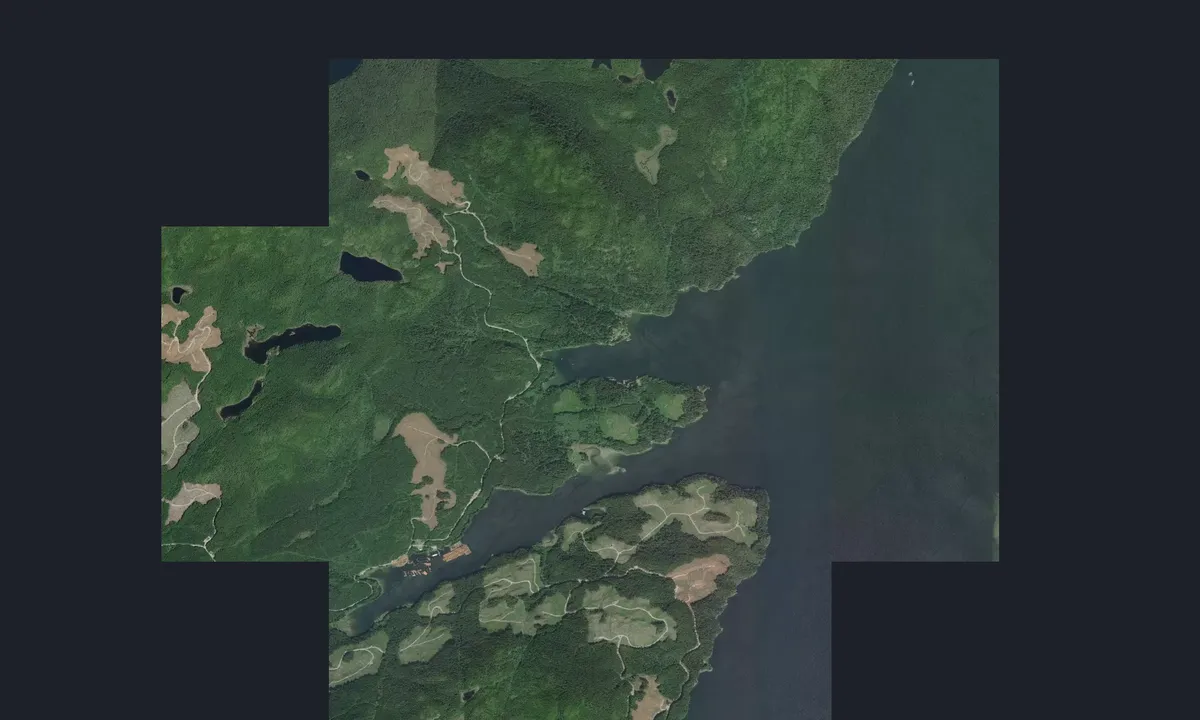 Flyfoto av Sidney Bay