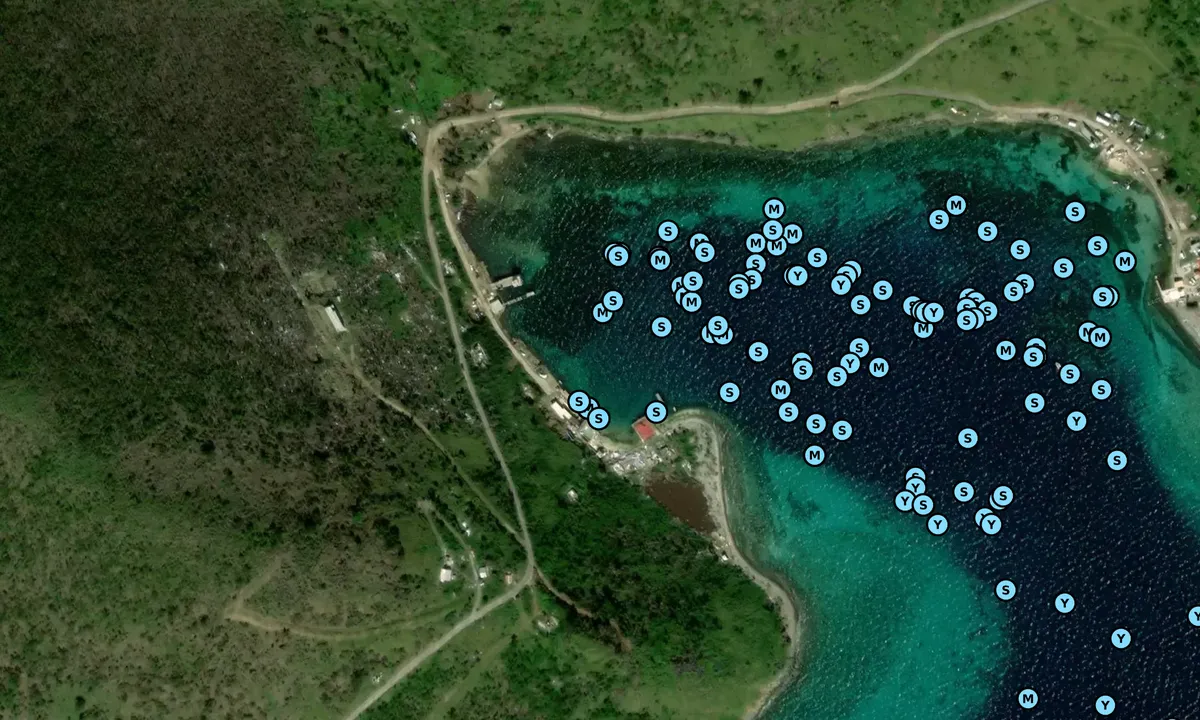 Satelite image of Sidney's Peace and Love